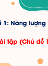 Bài tập (Chủ đề 1)